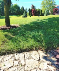 how to quickly and easily install or lay sod