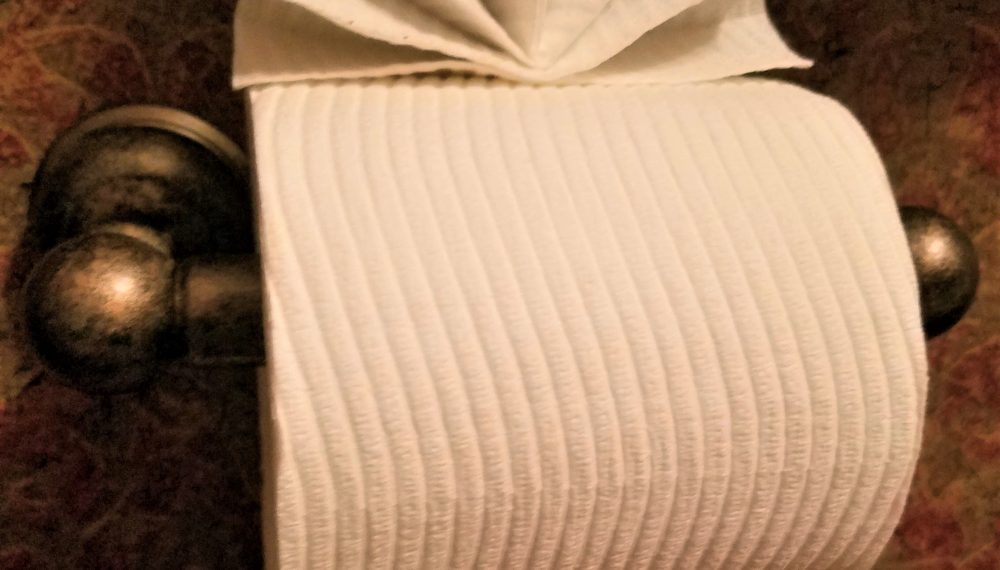 3 best toilet paper origami ideas