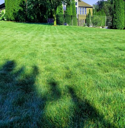 tips for the best way to mow your lawn