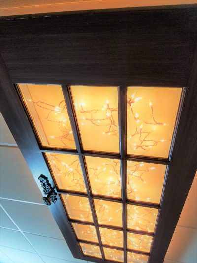 Amazing repurposed old door ceiling light fixture