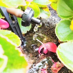 Automated DIY Drip Irrigation System